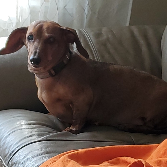 ❗FOLLOW GAME❗ - Picture 5 of 5